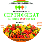 Сертификат на 3000 рублей
